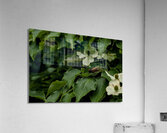 2024 Portfolio 25 Acrylic Print