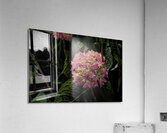 2024 Portfolio 35 Acrylic Print