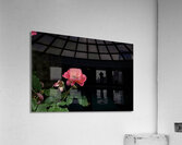 2024 Portfolio 34 Acrylic Print