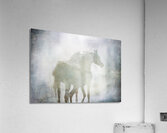 Ghost Horses Acrylic Print