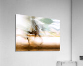 Sport Horse Swoosh Acrylic Print
