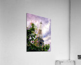 Eiffel Tower in Spring Acrylic Print
