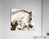 A Mothers Bond Acrylic Print