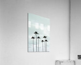 Palm Trees | Tropical Acrylic Print