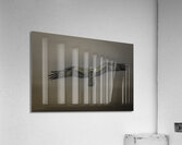 11075 Osprey at Altitude Acrylic Print