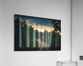 Into The Clear Acrylic Print