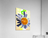 Abstract Surreal Daisy Flower Acrylic Print