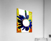  Abstract Large Daisy Flower  Acrylic Print