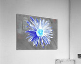Abstract Luminescent Daisy Flower Acrylic Print