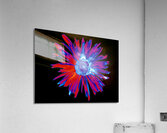 Abstract Brightly Coloured Daisy Flower Acrylic Print