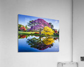 Mystical Reflections Acrylic Print