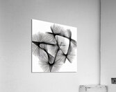 arrows pencil sketch 240803  Acrylic Print
