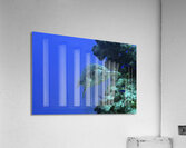 Floater Acrylic Print