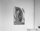 male face sketch 2408202  Acrylic Print