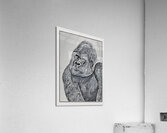 gorilla pencil 2408201 Acrylic Print