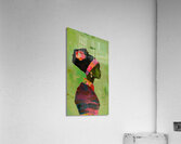 Ethereal Serenity Acrylic Print