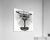cocktail 240815 Acrylic Print