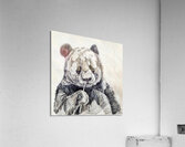 panda sketch 2408245  Acrylic Print