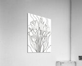 flower sketch 2408228  Acrylic Print