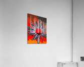 Abstract Fiery Daisy Flower Acrylic Print