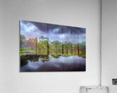 Sea Pines Rookery and Horse Farm Acrylic Print