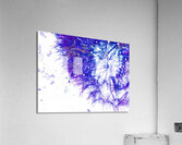 Abstract Wispy Dandelion Acrylic Print