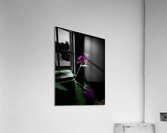 Butterfly in the Darkness Acrylic Print