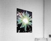 Abstract Vibrant Green and Blue Daisy Flower Acrylic Print