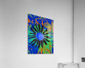 Cool Vibrant Abstract Daisy  Acrylic Print