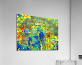 Abstract Colourful Dandelion Seeds  Acrylic Print