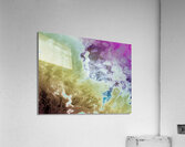 Rainbow Fluid Abstraction Acrylic Print