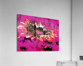 Abstract Red and Black Daisy Flower Acrylic Print