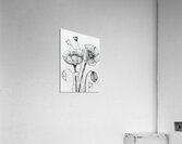 ArtX 17 poppies real  Acrylic Print