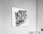 ArtX 07 two cats  Acrylic Print