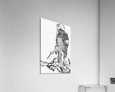eagle  Acrylic Print