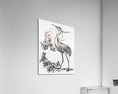 ArtX 10 crane  Acrylic Print