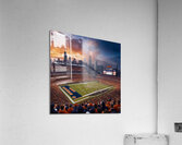 Visual Vibes Artwork  1 Acrylic Print