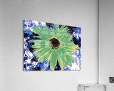 Abstract Green Daisy Acrylic Print