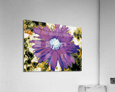 Abstract Purple Daisy Flower Acrylic Print