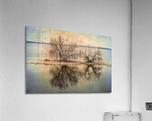 A Vision in Lake Ontario Acrylic Print