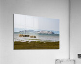 LE GROS PELERIN Acrylic Print