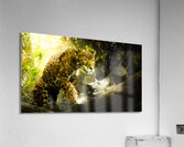 Pat The Cat Painting Acrylic Print