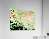 Abstract Wispy Dandelion Corner Acrylic Print