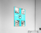 1984 Miami Dolphins Football Art Remix Acrylic Print