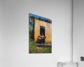 brazilian kid on a guitar Acrylic Print