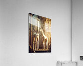 Giraffe Low Poly Art Wall Decor  Acrylic Print