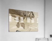 Sand and Rock Acrylic Print