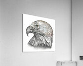102  Acrylic Print