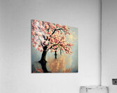 IMG 4646 Acrylic Print