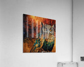 Beautiful Owl Glory 2024 09 02 13 55 33 Acrylic Print
